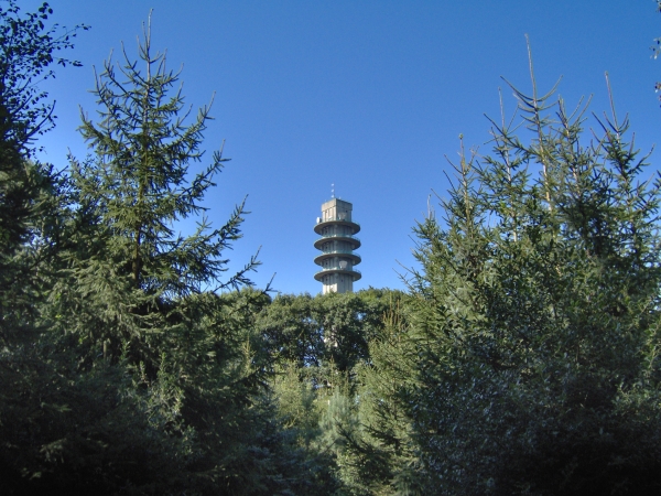 De toren gezien vanuit het bos in het zuiden