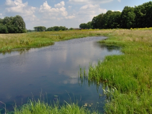 De Snelle Loop