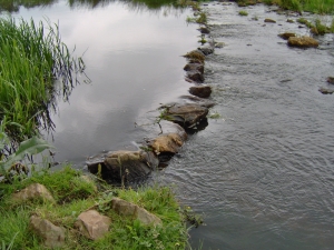 De Snelle Loop