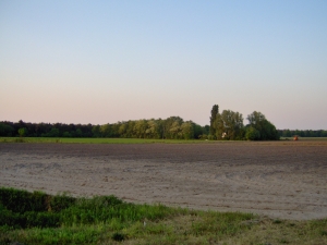 Bos en akkers in het noordoosten...