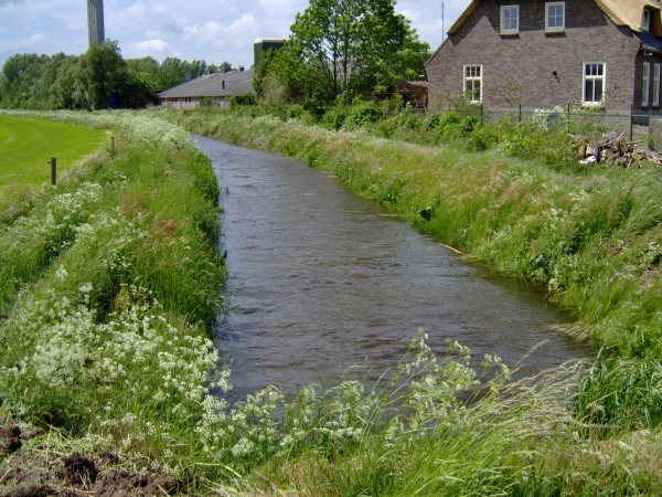 De Snelle Loop gezien vanaf de N604