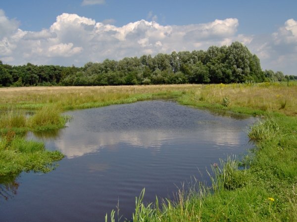 De Snelle Loop iets verderop