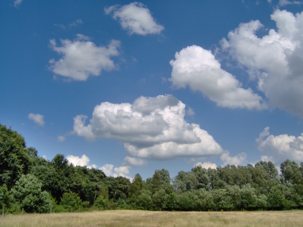 Mooie bewolking