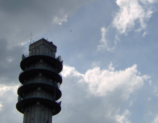 Valk in de lucht (stipje rechts)